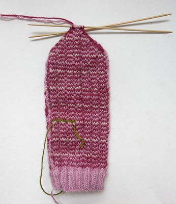 Back of Persnickety Mitten. 